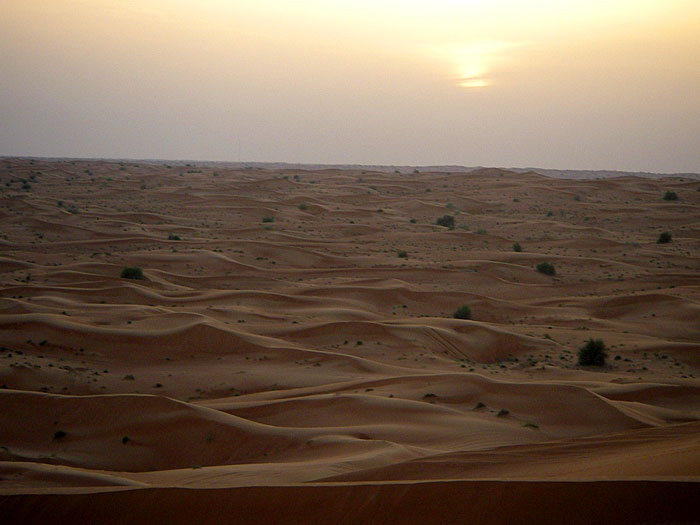 dubai desert sunset