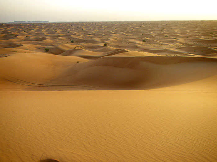 dubai desert