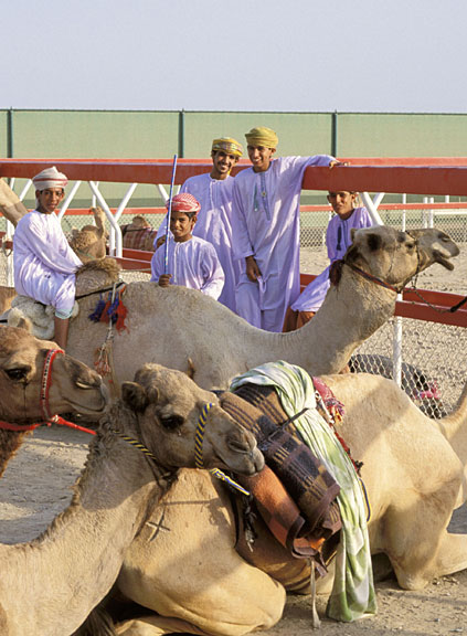 Junge Omanis mit Kamelen