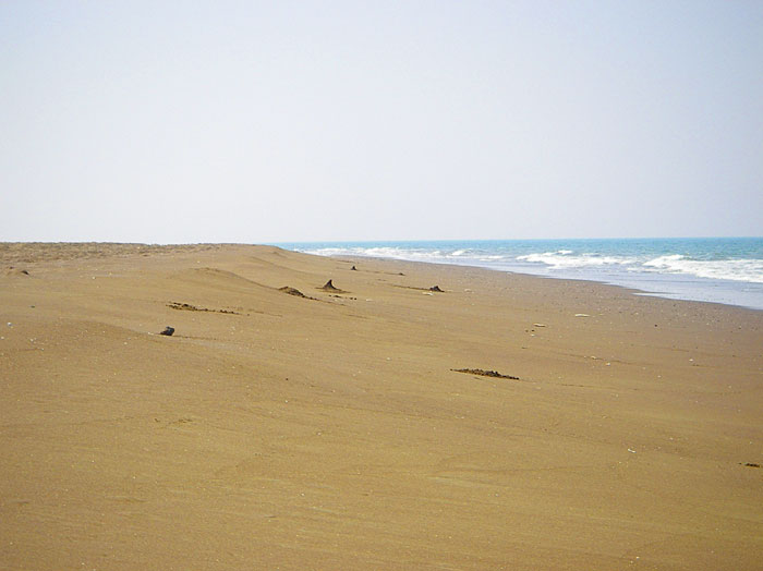 batinah beach sohar