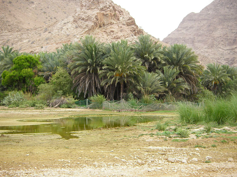 wadi sharqiyah sur